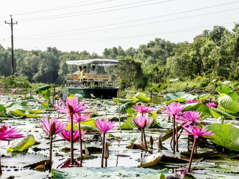 Đầm sen bằng tàu máy vỏ lãi