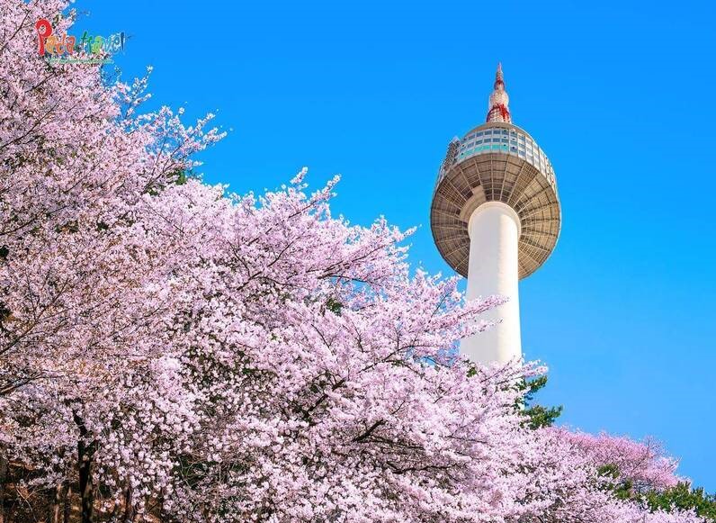 Tháp Namsan biểu tượng nổi tiếng của thủ đô Hàn Quốc