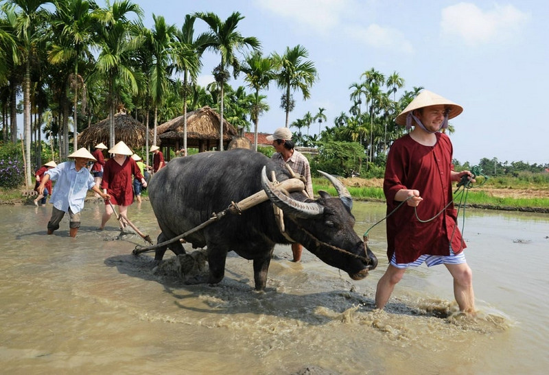 du lịch trải nghiệm