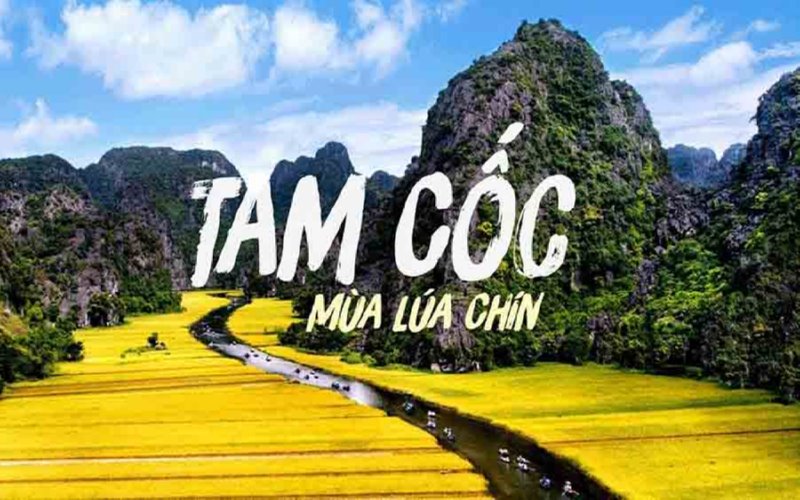 Ghé Tam Cốc vào mùa lúa chín.