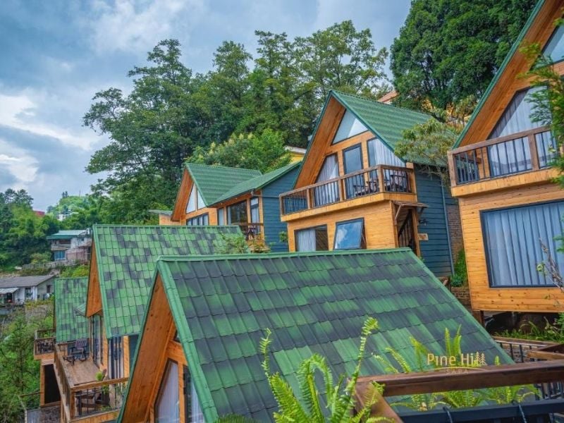 khách sạn trung tâm Sapa Sapa Pine Hill Eco Lodge