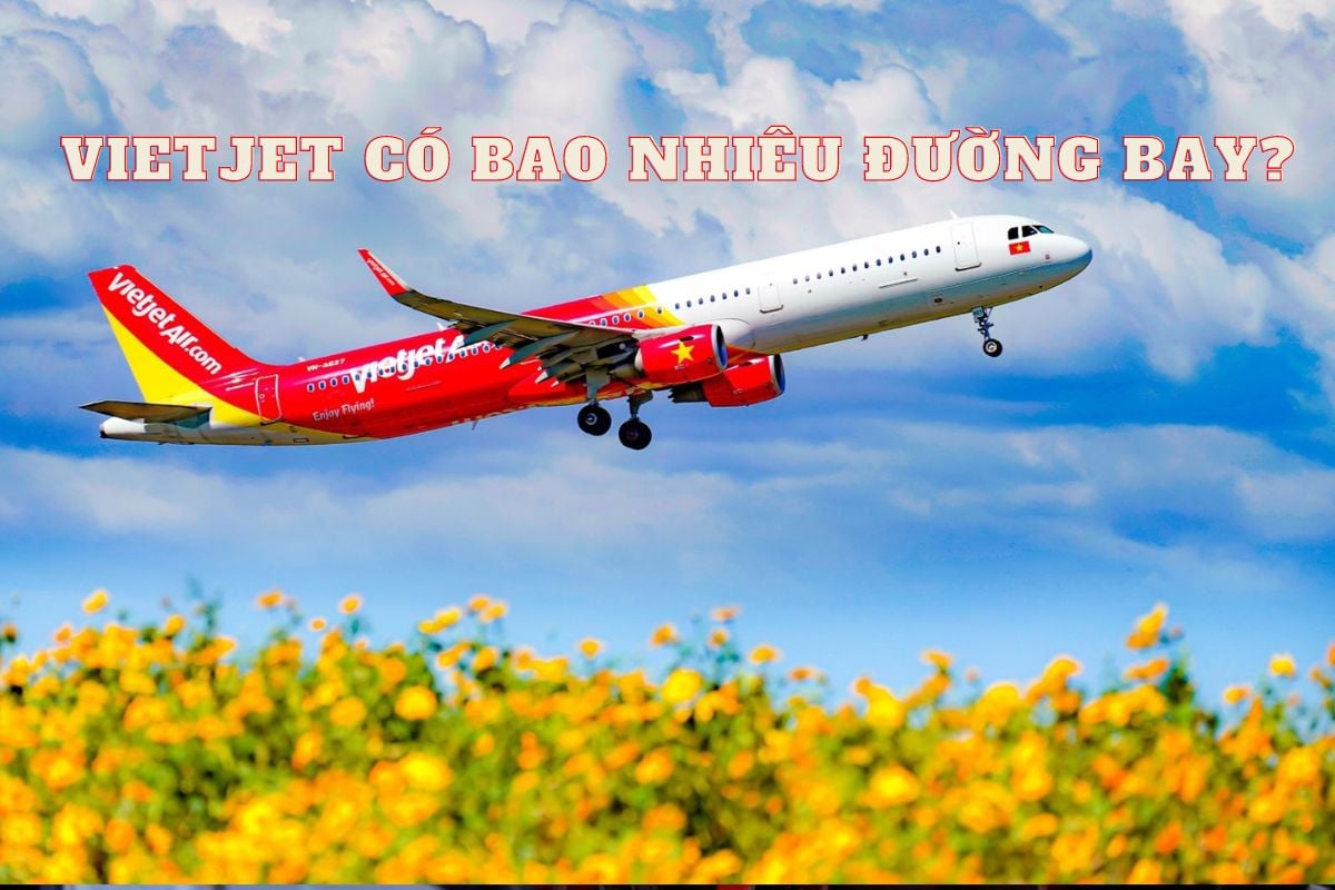 Vietjet có bao nhiêu đường bay? Các tuyến bay của Vietjet